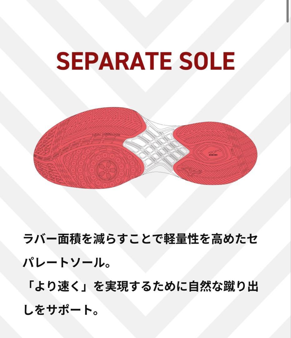 ミズノバドミントンシューズ ウェーブクロー4 fit 27.0cm BDSS限定