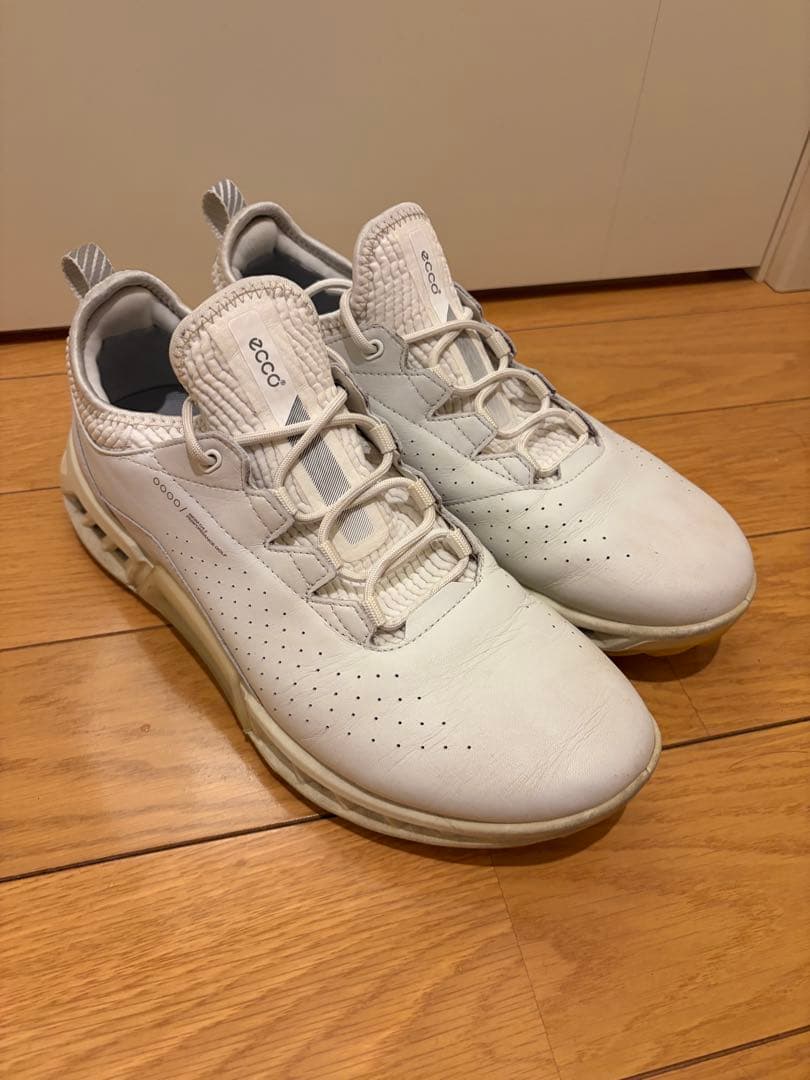 ecco バイオム C4 BIOM サイズ42