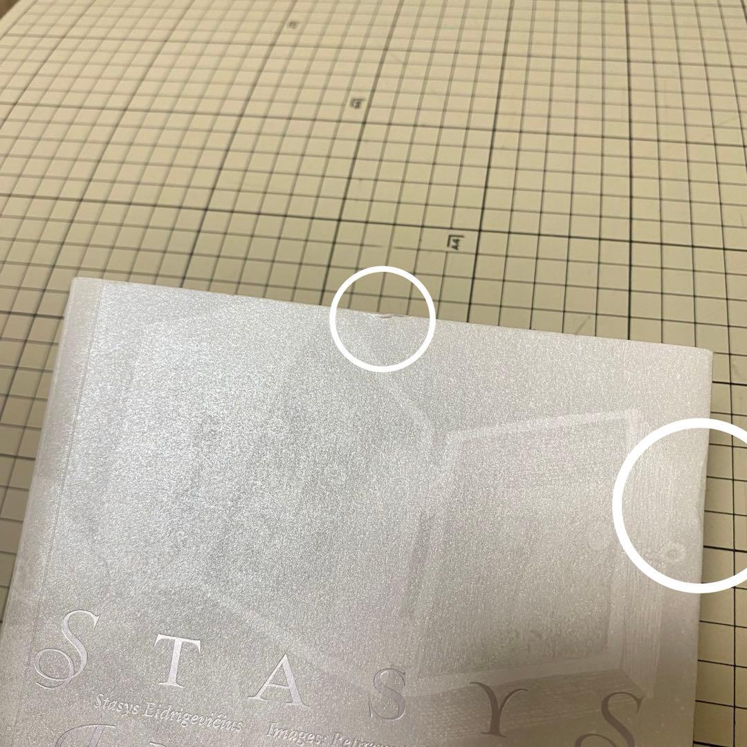 スタシス・エイドリゲヴィチウス　図録　展覧会　STASYS IMAGES