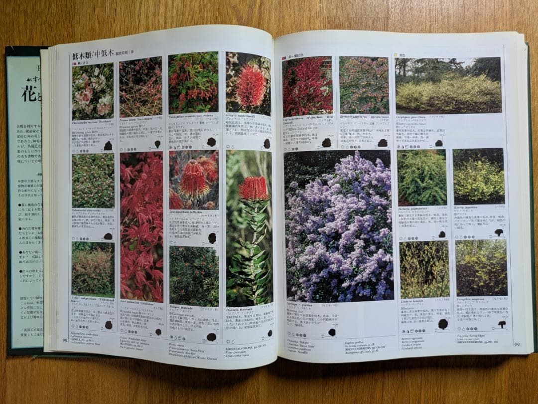 すべての園芸家のための花と植物百科