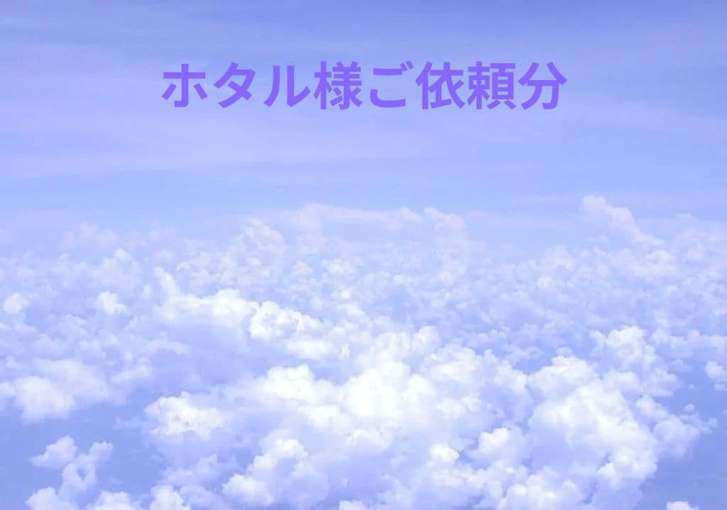 ホタル様ご依頼分