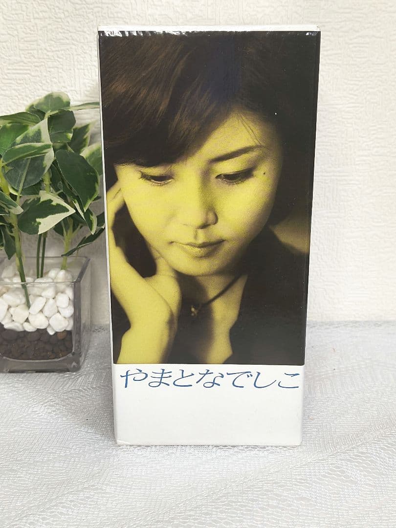 (美品)やまとなでしこ全６巻 DVDセット