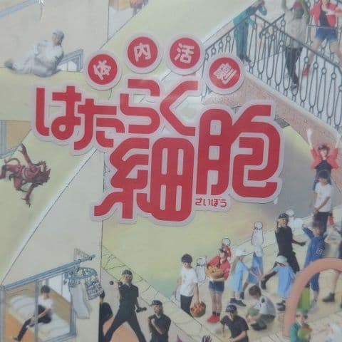 体内活劇 はたらく細胞〈完全生産限定版・2枚組〉