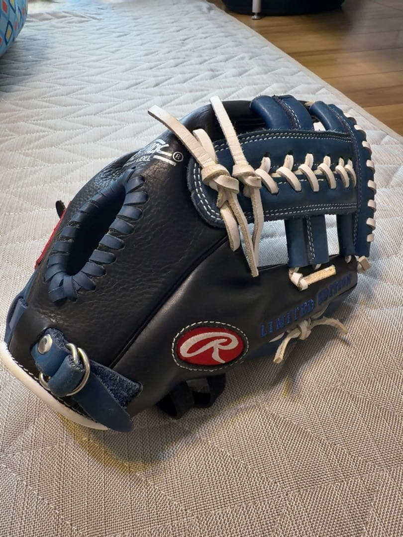 最終値下げ Rawlings The Gold Glove Co. グローブ