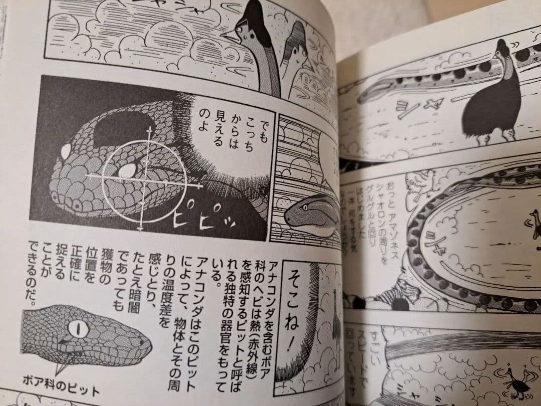 【超値下げ!】真・異種格闘大戦全10巻セット相原コージ　帯３本一部カードおまけ有