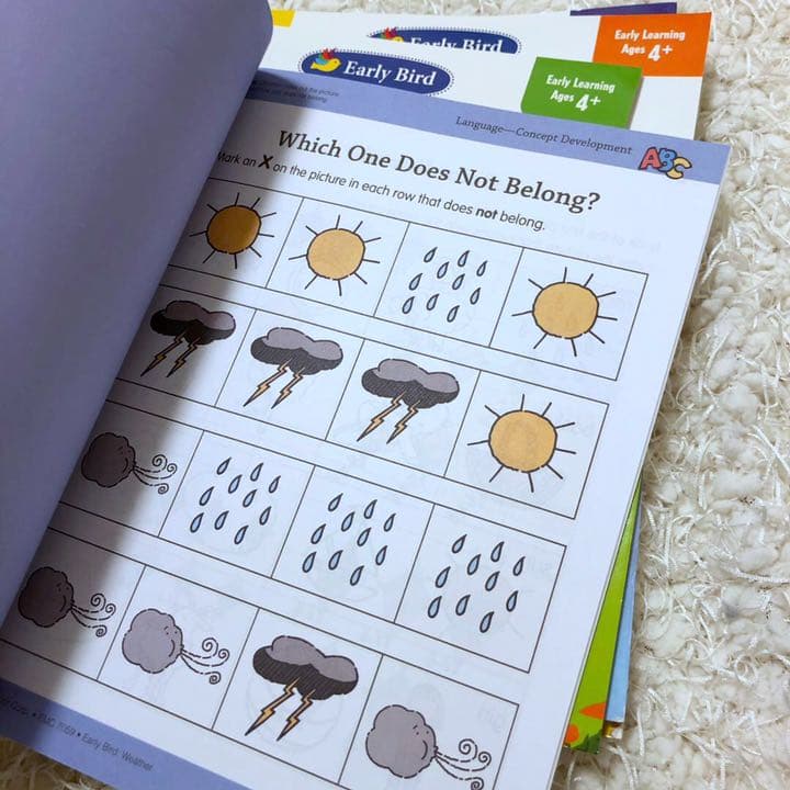 新品　英語 Evan moor early bird シリーズ 8冊 セット