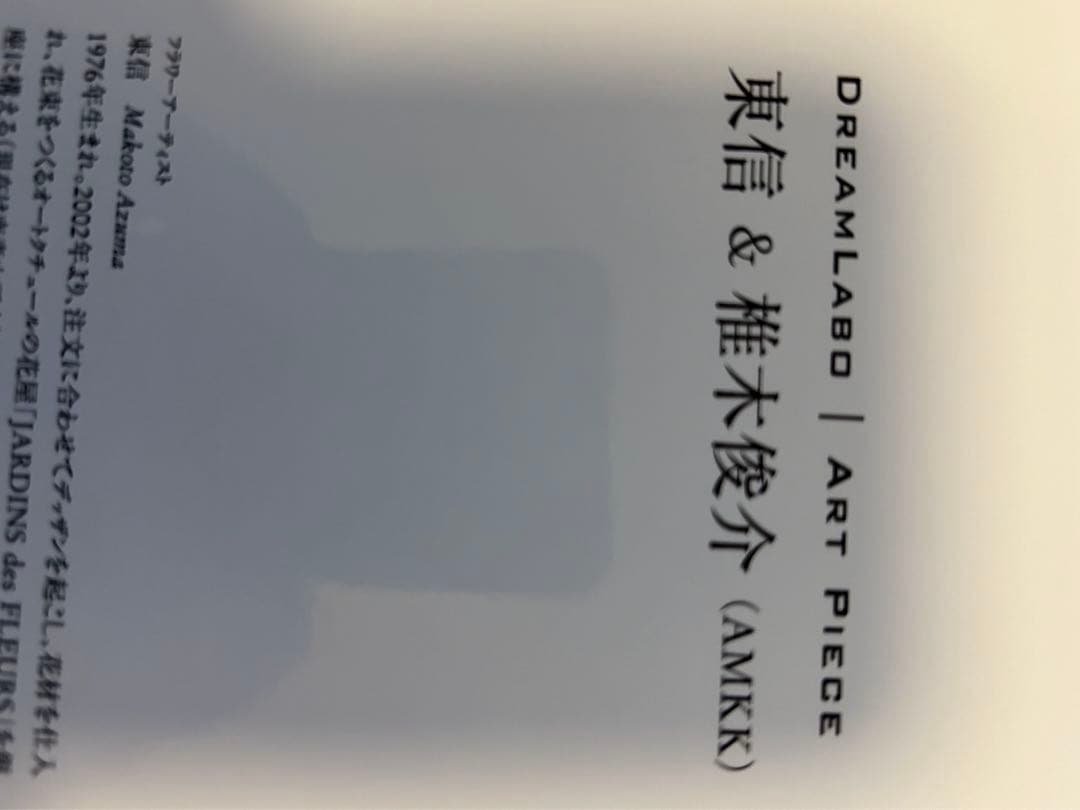 東信 作品集 写真集