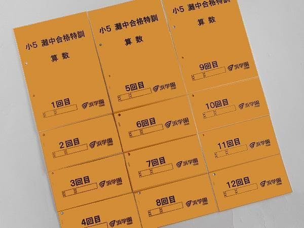 浜学園 小5 算数 灘中合格特訓テキスト 1回～12回 1年分