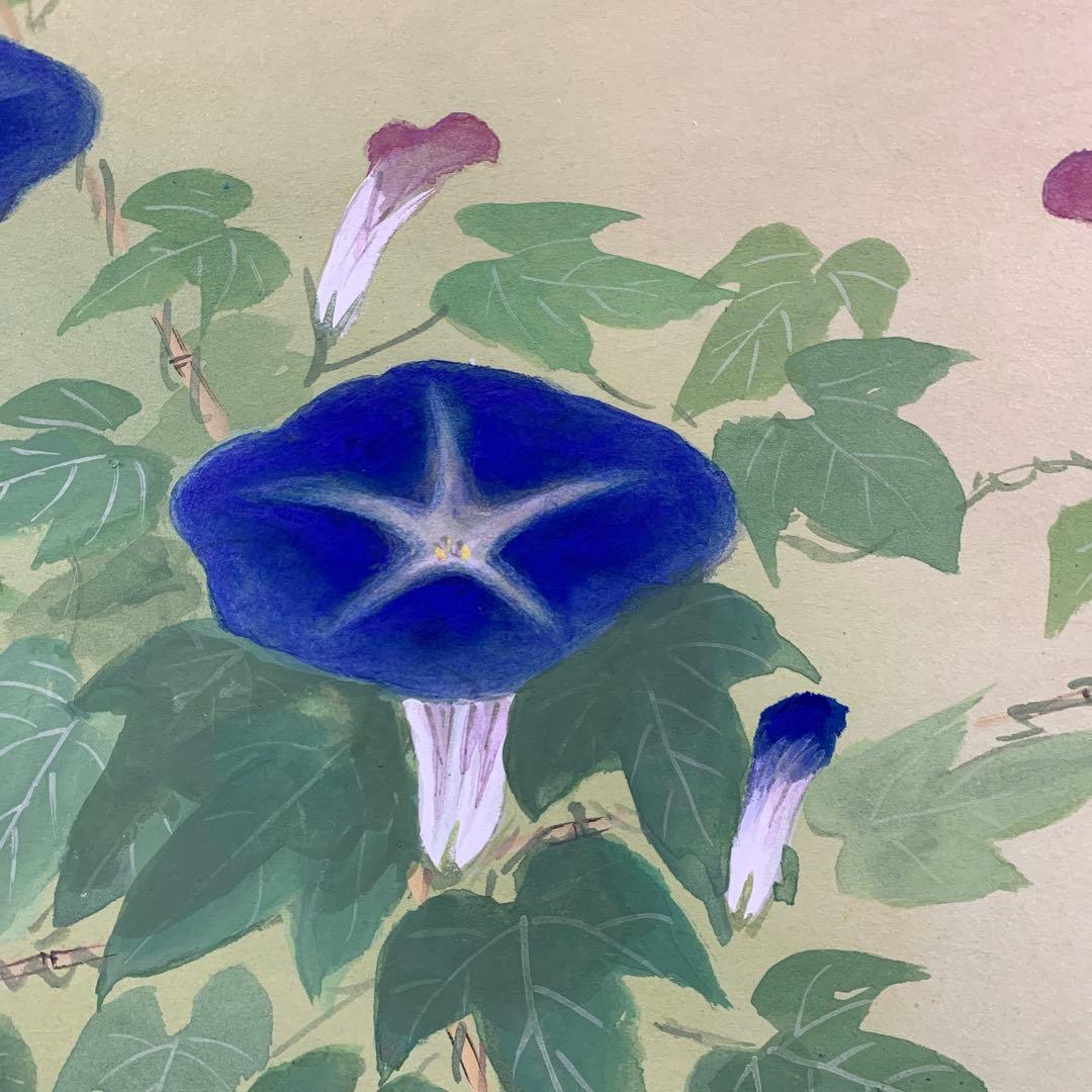 美品 掛け軸 田中松泉作 朝顔図 共箱 季節掛け
