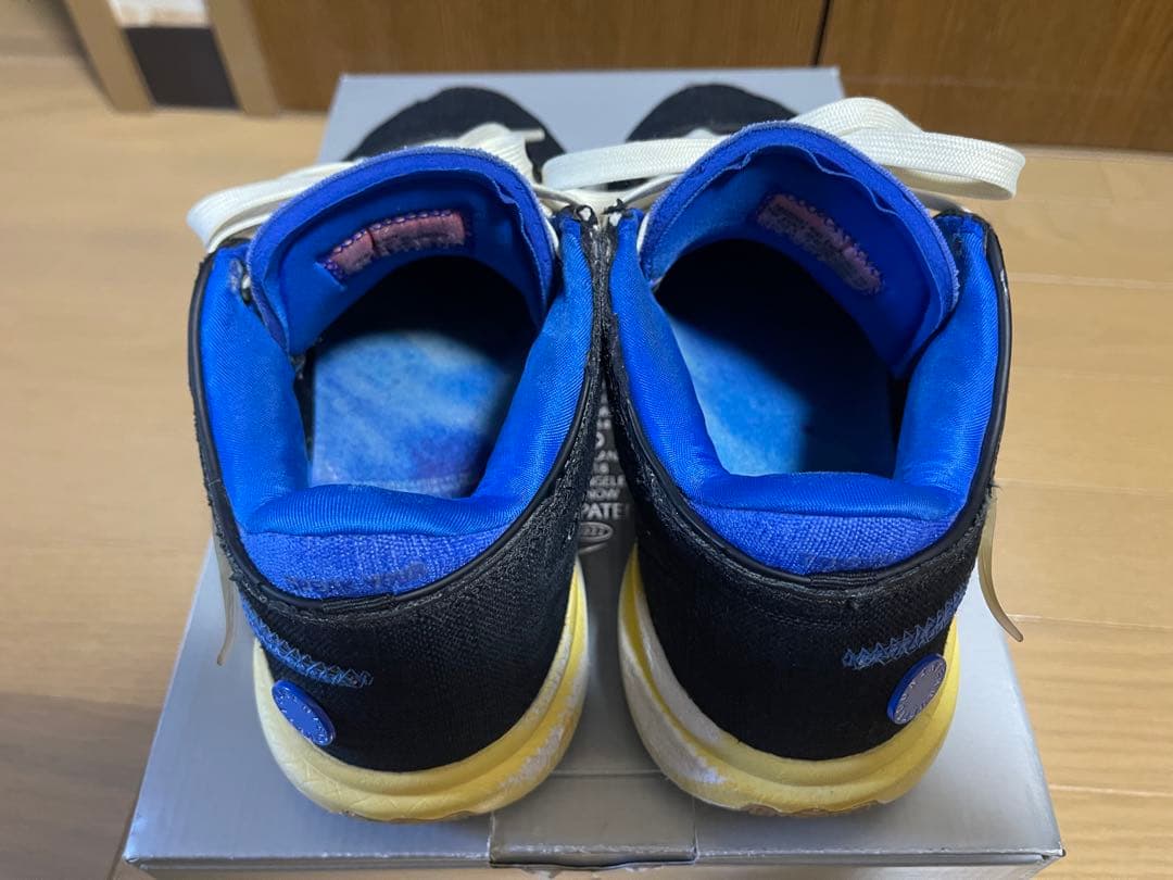 LEBRON XX UN EP レブロン20 24.5cm バッシュ　ナイキ