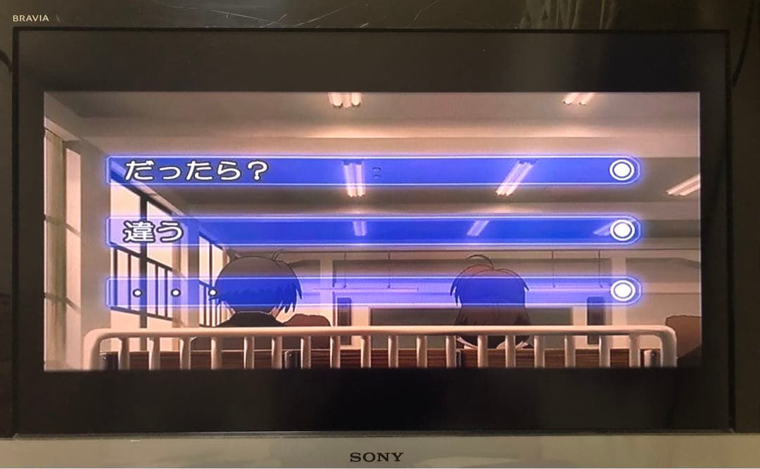 School Days DVD 4枚組 フルアニメーション　廃盤　貴重　ゲーム