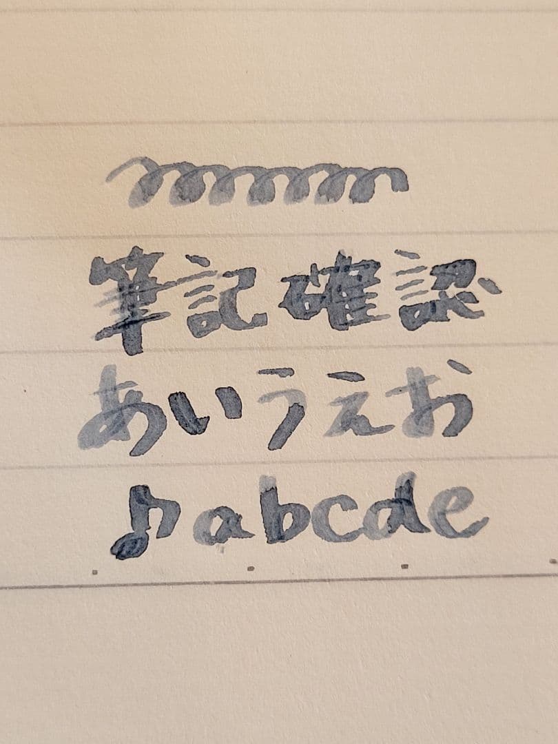 SAILOR セーラー万年筆 プロフィットスタンダード 21k MS
