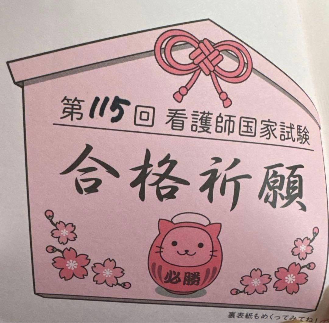看護師国家試験 2025 2冊セット 115回看護師国家試験