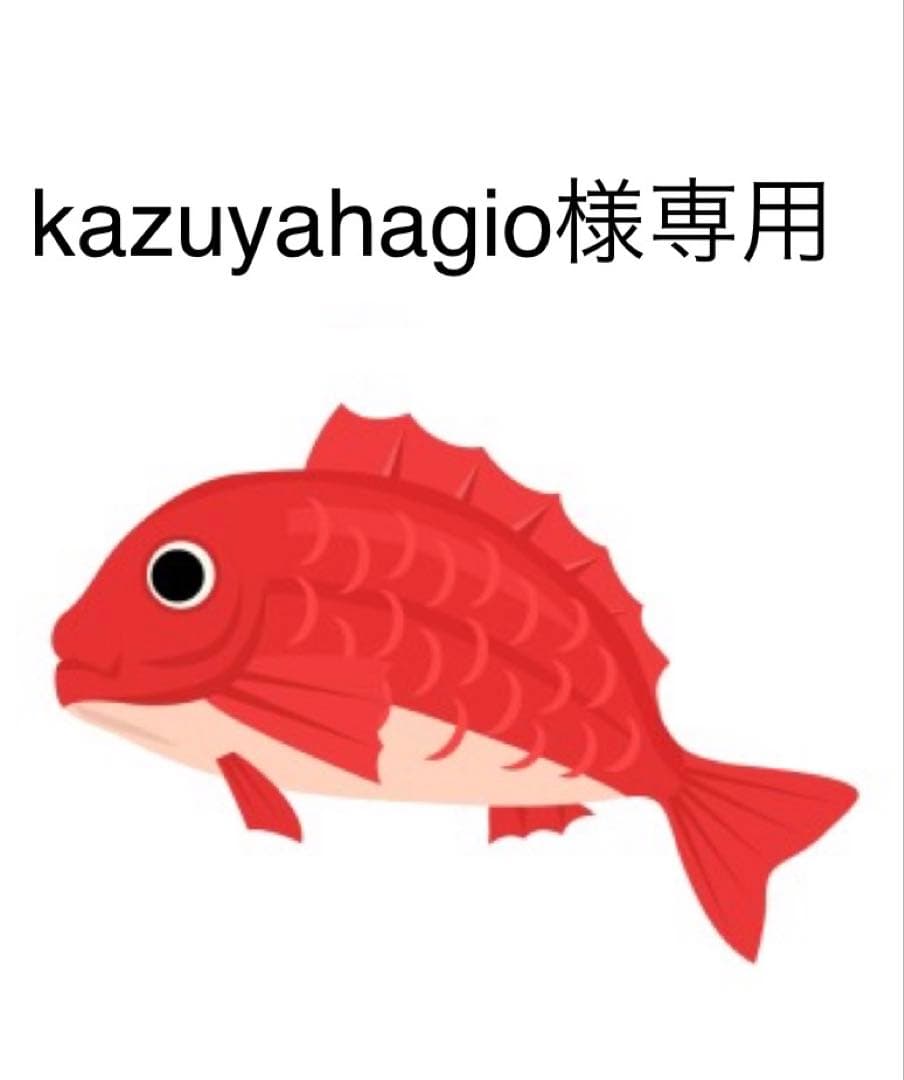 タイラバ　タングステン　kazuyahagio
