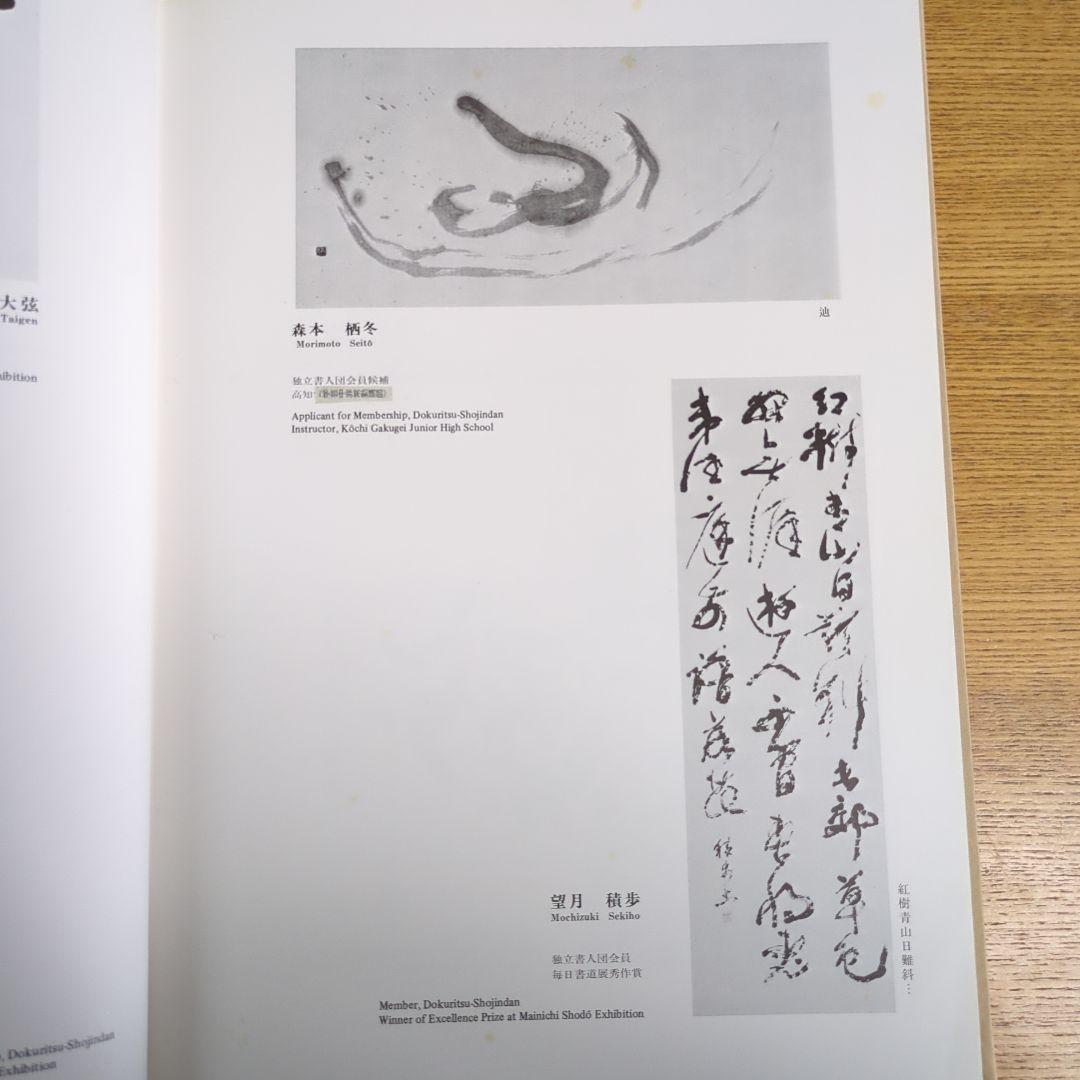手島右卯北京展記念作品集
