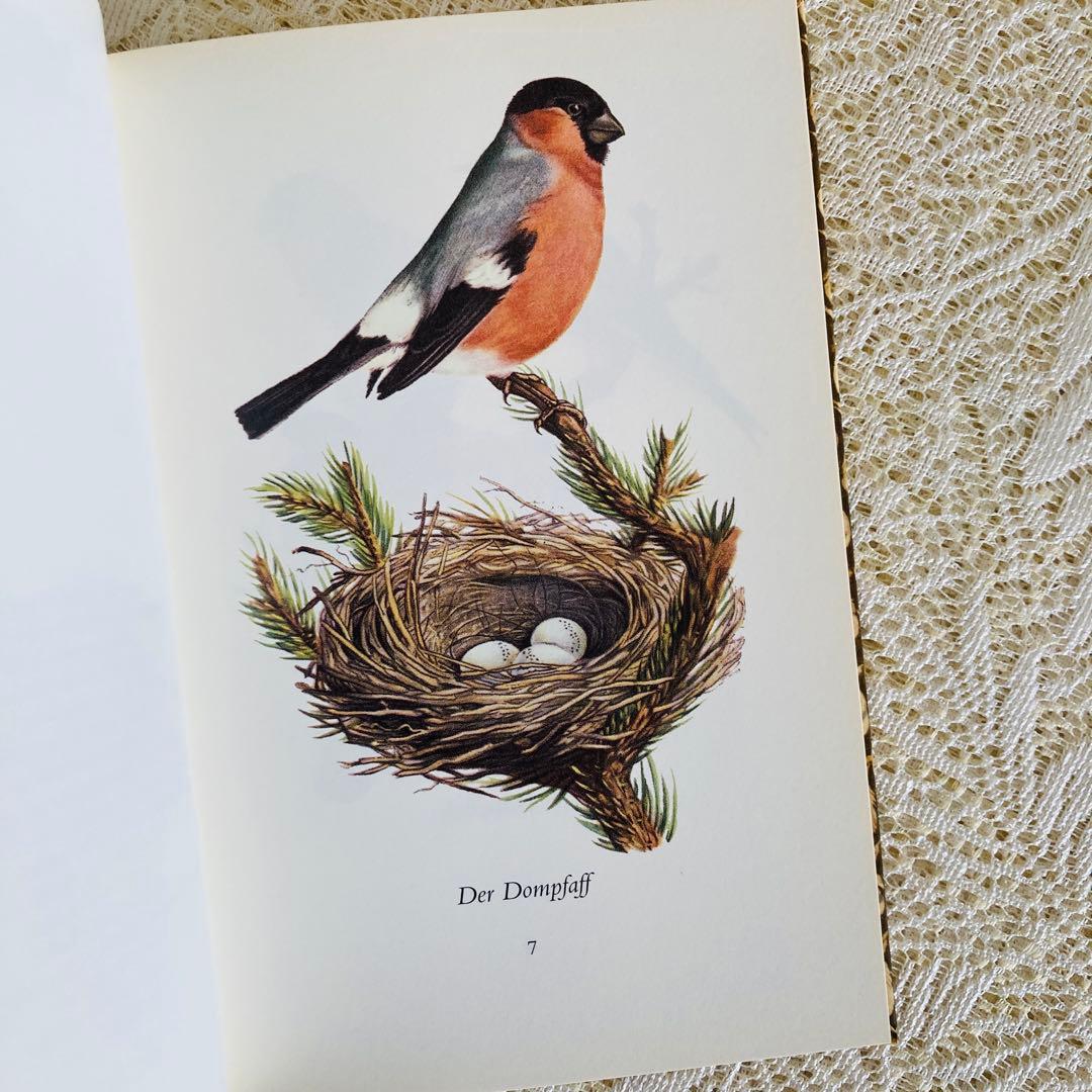 まとめ売り♪　インゼル文庫3点セット　鳥・蝶・木の図鑑　ドイツ古書