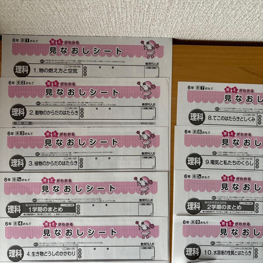 ⑥小学6年生 理科テストの見なおしシート 13枚