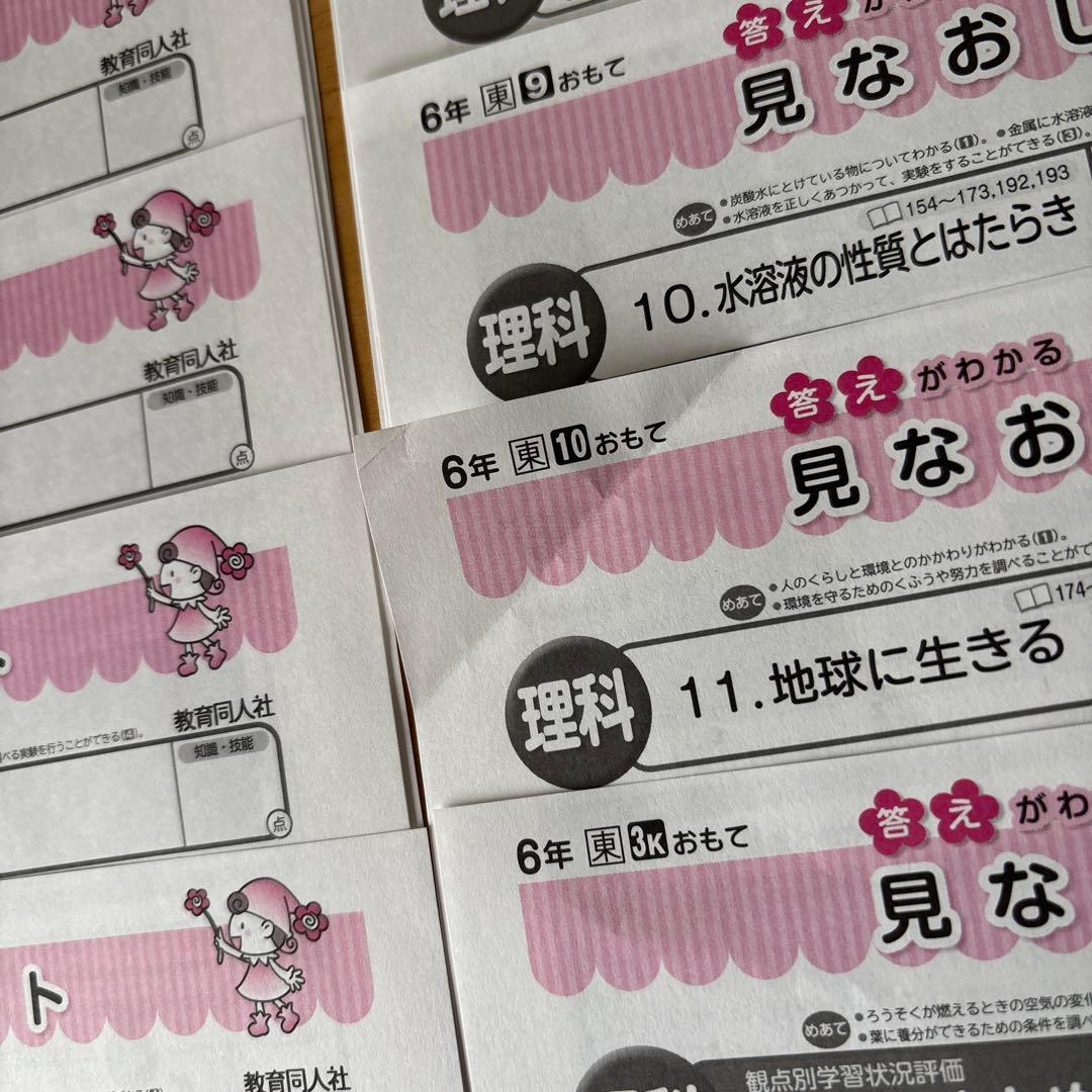 ⑥小学6年生 理科テストの見なおしシート 13枚