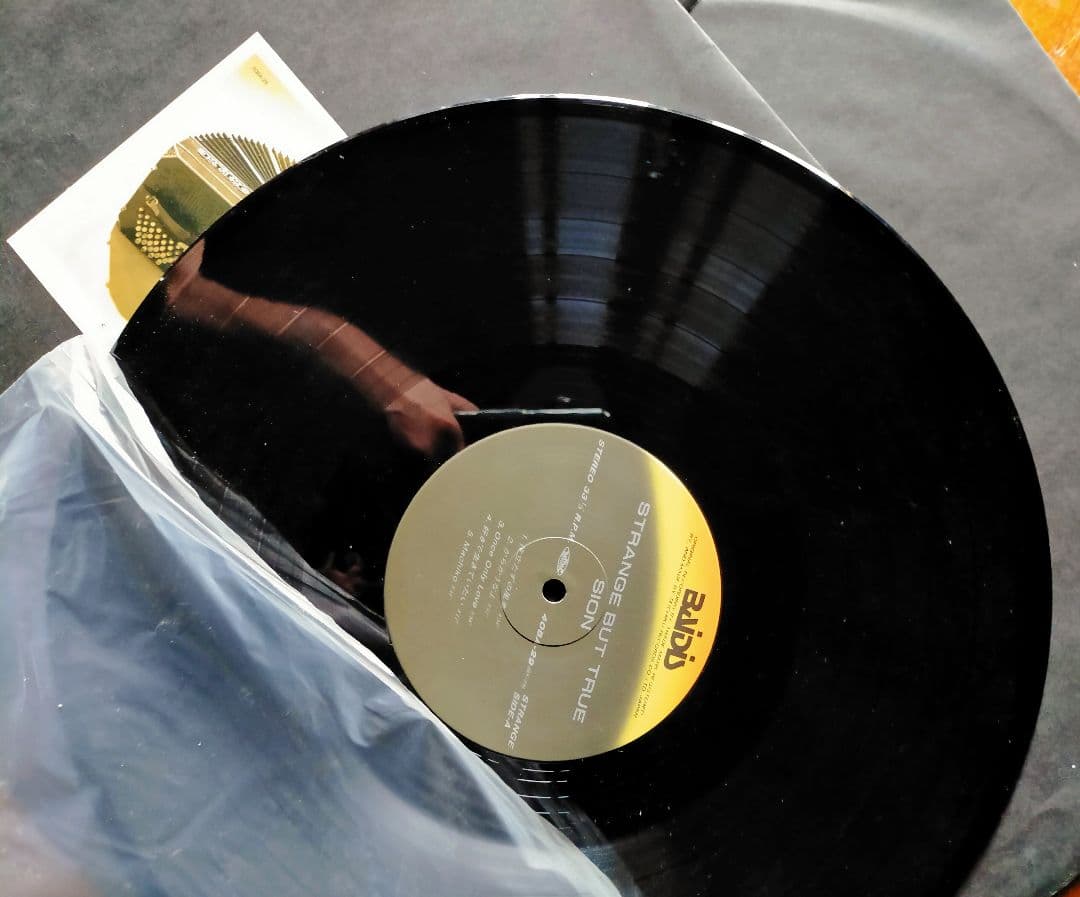 Sion/Strange But True レコード（2枚組）
