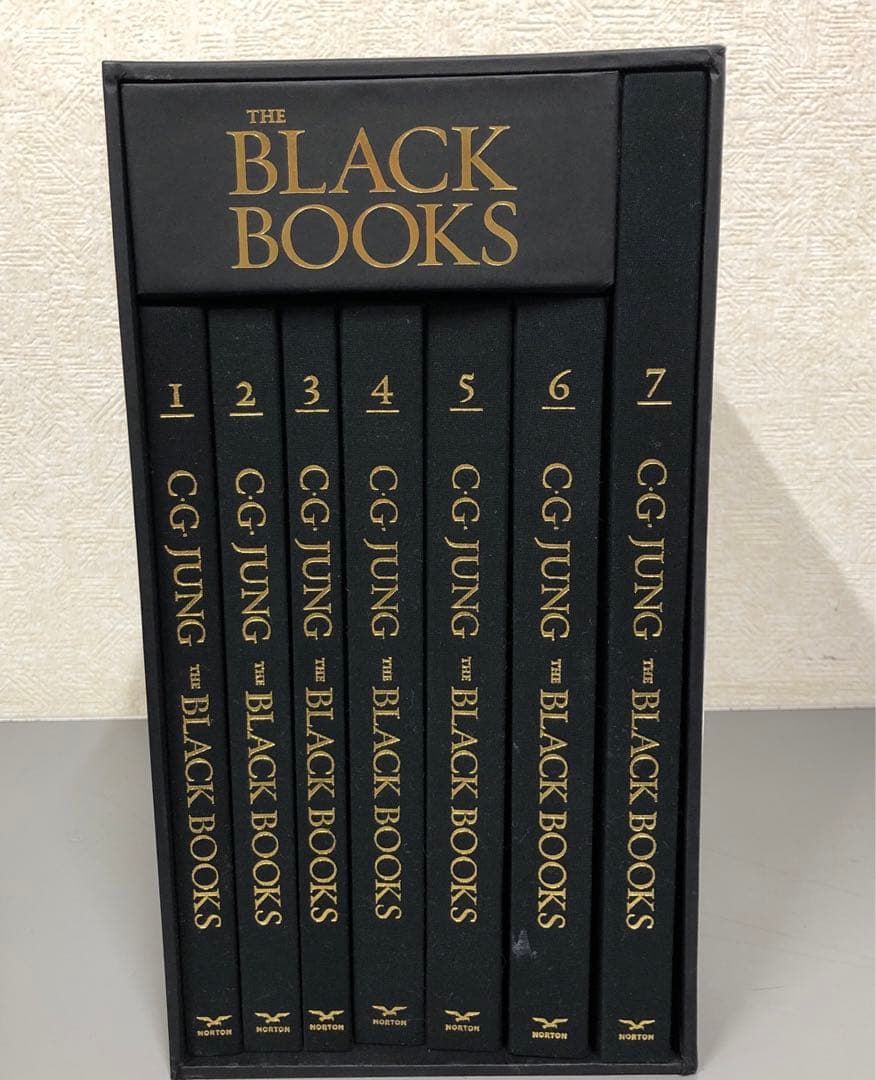 【中古本】C・G・JUNG THE BLACK BOOKS