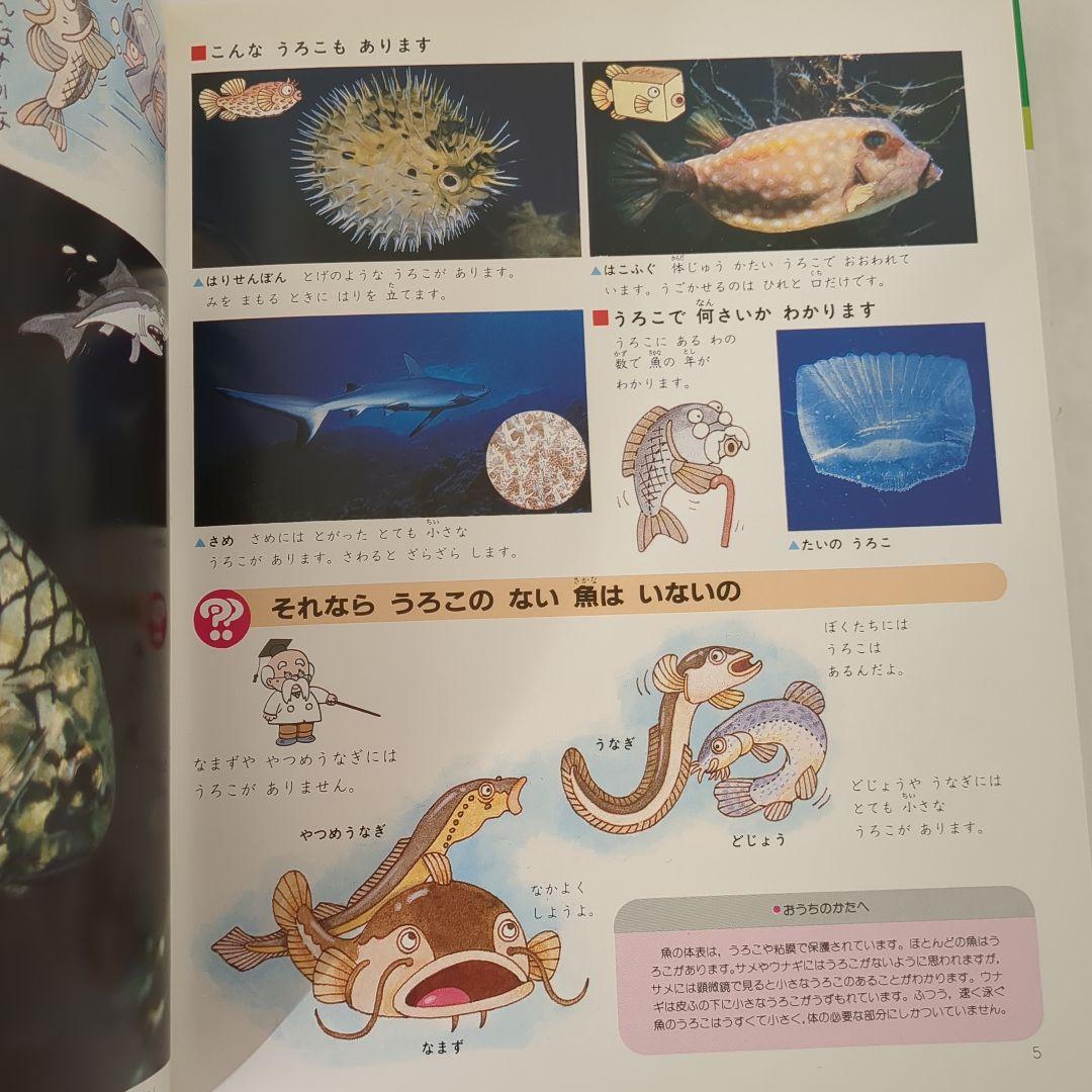 図鑑　なぜなぜベスト図鑑 全20巻　児童書　絵本