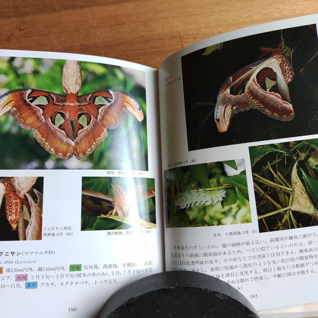 沖縄昆虫野外観察図鑑 全4巻