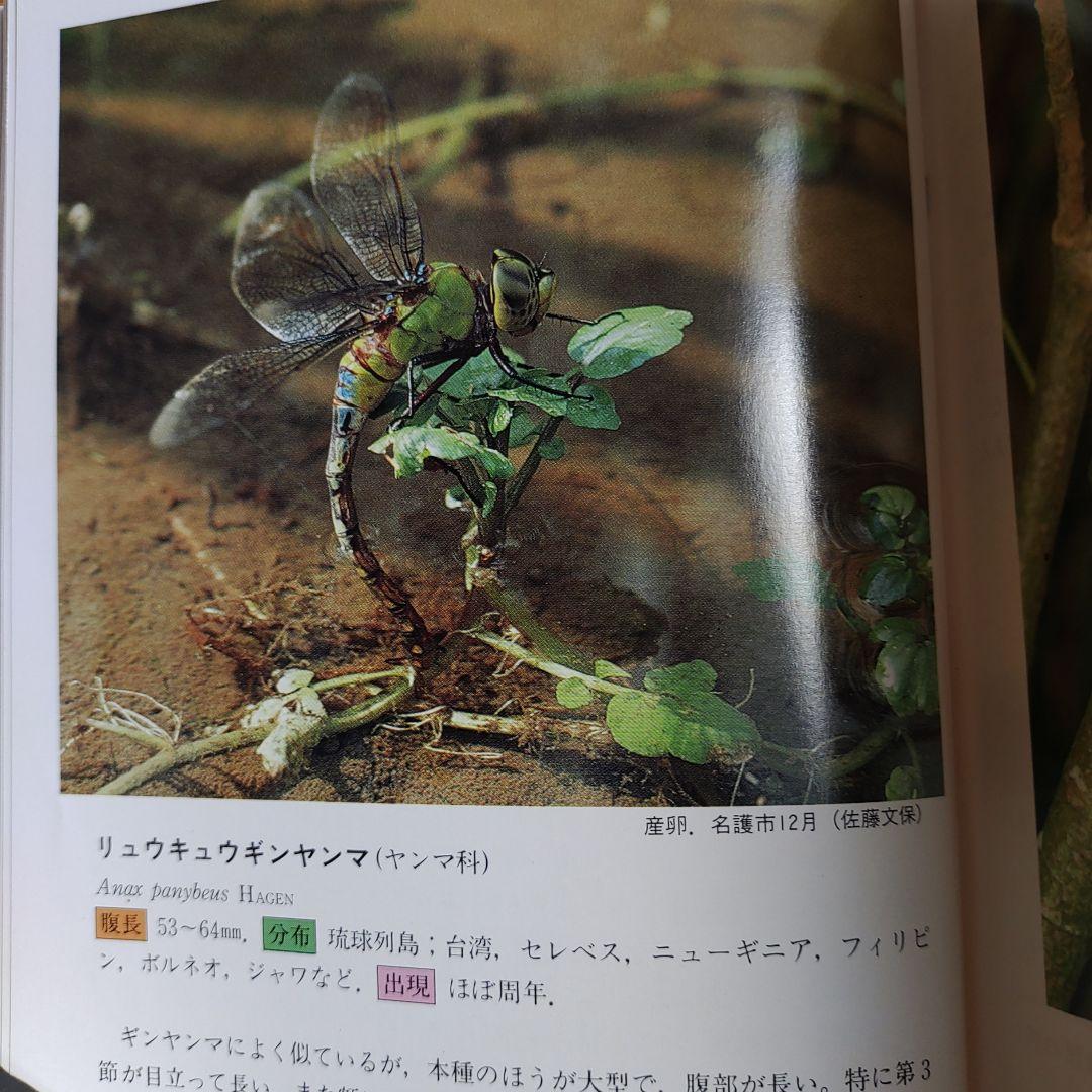沖縄昆虫野外観察図鑑 全4巻