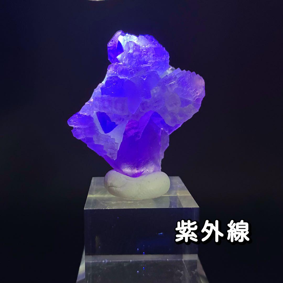 中国浙江省産 フローライト（蛍石）桜花結晶標本 高透明 希少コレクターズピース
