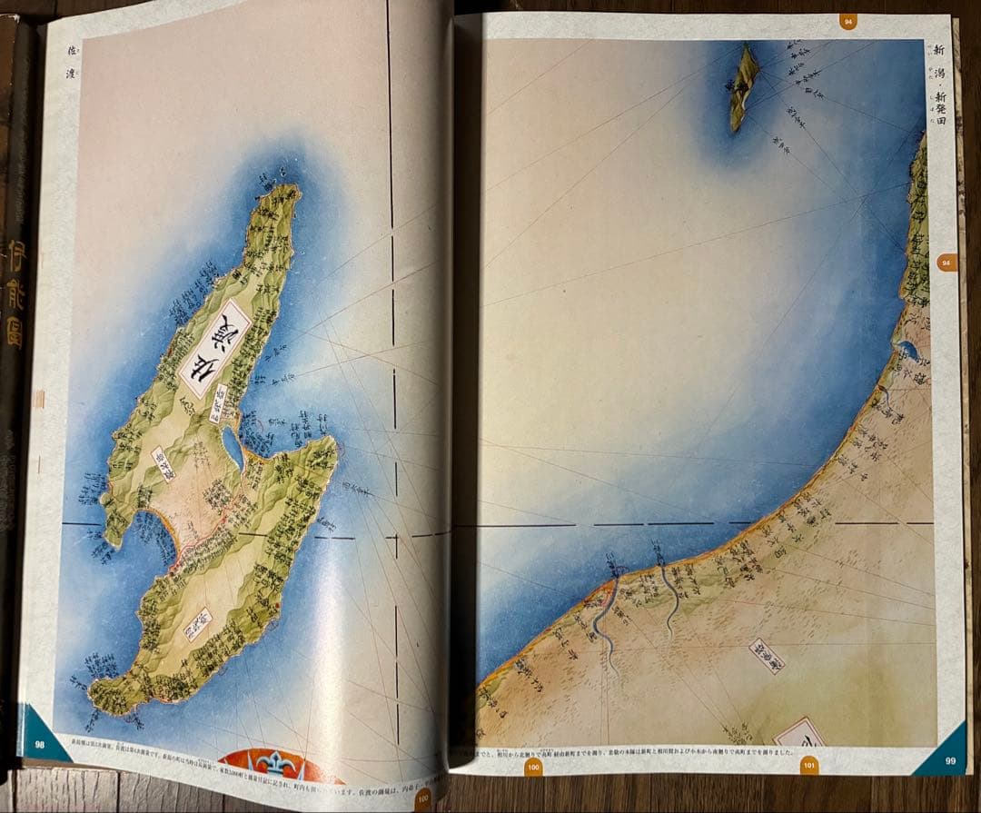 No.231 伊能図　出版社:武楊堂