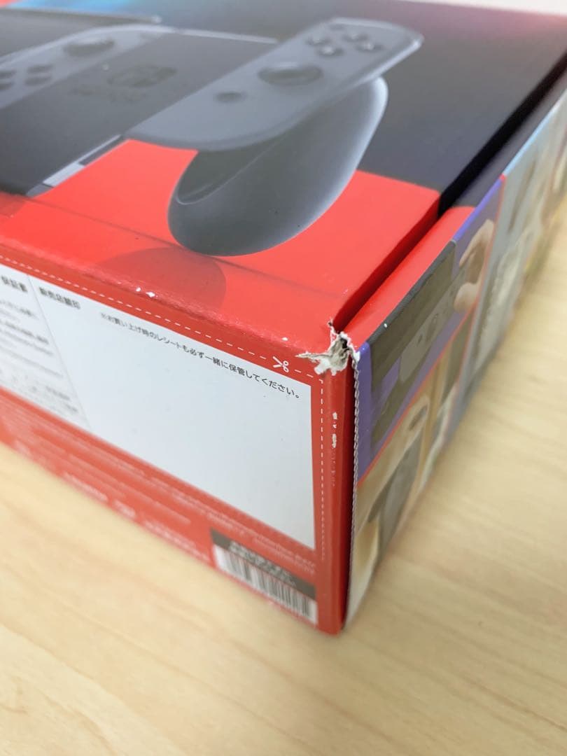 Nintendo Switch グレー 本体+Switchケース
