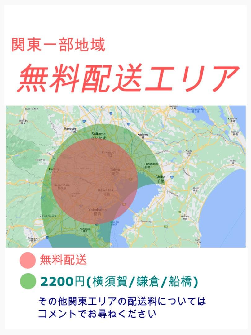 超人気！ビッケ16AHブリヂストン人気子供乗せ電動アシスト自転車 Y2128