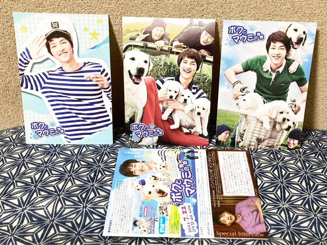 希少 韓流　セル版 DVD ボクとマウミの物語 / ソン・ジュンギ主演作