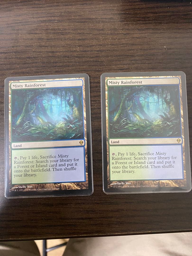 mtg 霧深い雨林　Misty Rainforest 2枚セット