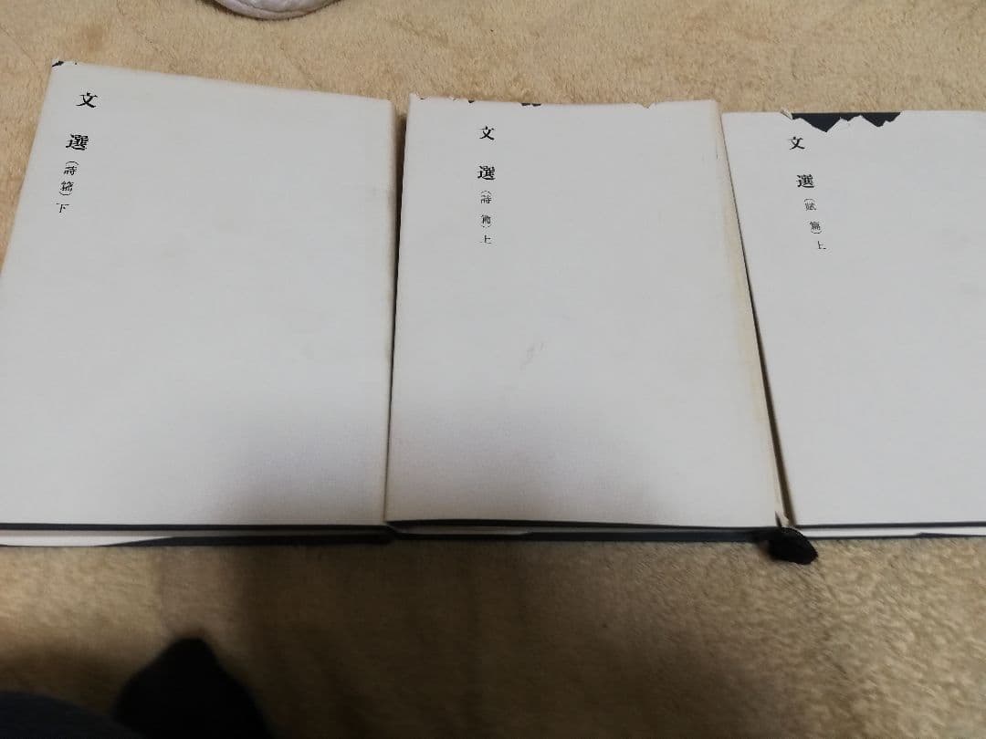 【一点限定早い者勝ち！送料無料】新釈漢文大系　文選3冊セット
