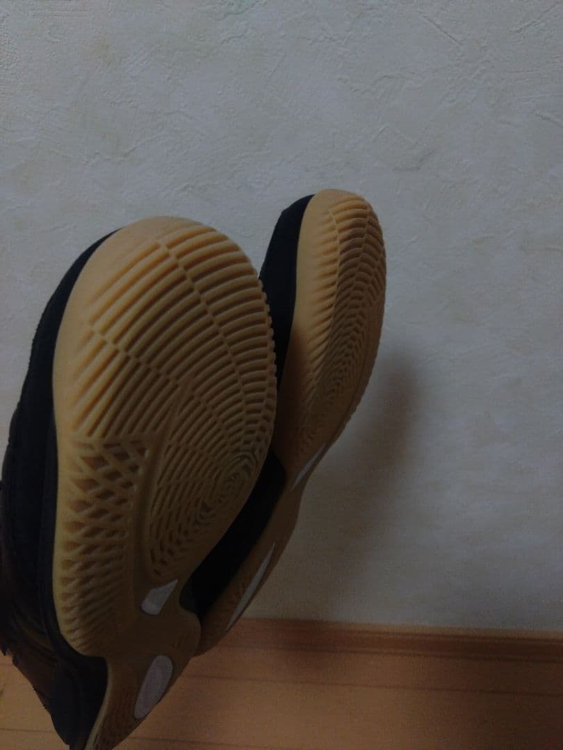 【値下げ不可】モレリアサラジャパン　26.0cm japan