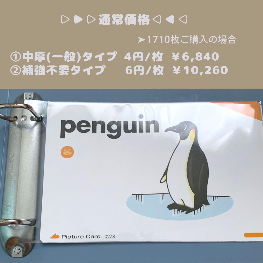 ◎最安値出品！ ペッピーキッズ ピクチャーカード 収納袋 背表紙＆リフィル