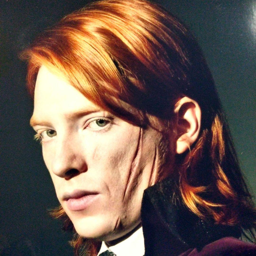 セール中…ドーナル・グリーソン直筆サイン超大型写真…ハリーポッターと死の秘宝…