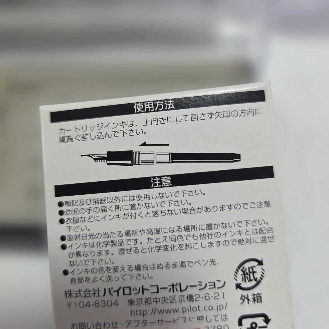 【メーカー調整済】パイロット エリート95s M 中字 24年2月購入