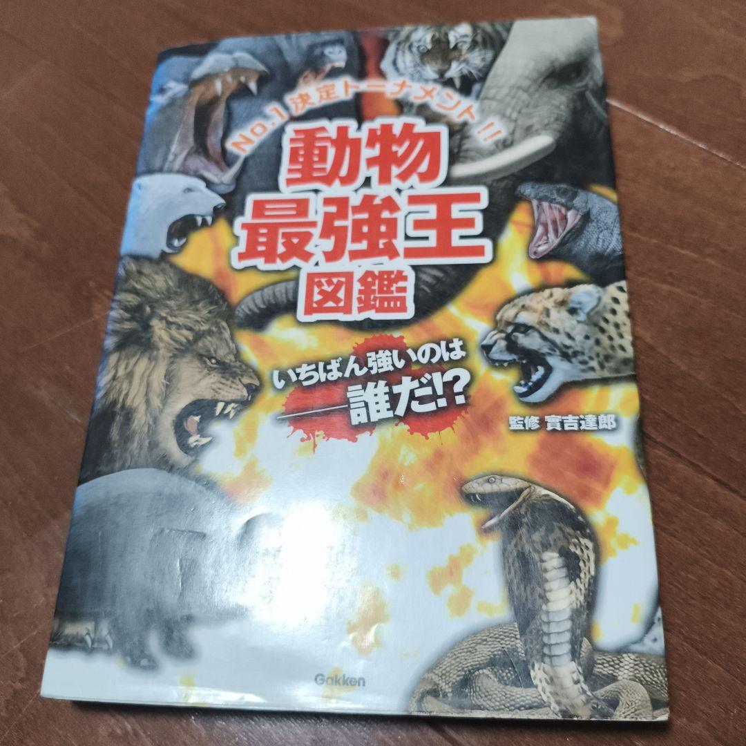 最強王図鑑13巻セット