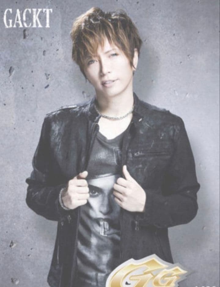 激レア【POTENZA】 ジャケット　GACKT着用　GACKTモデル