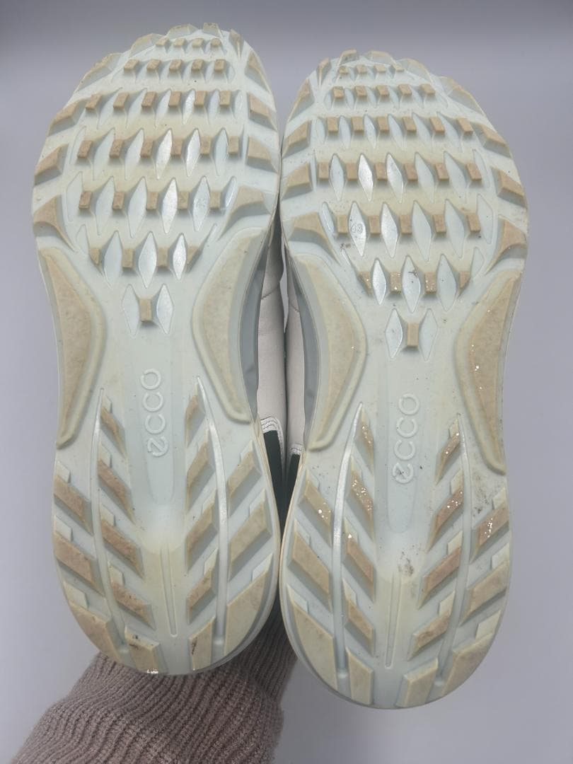 SK-271 ECCO M GOLF BIOM C4 サイズ43