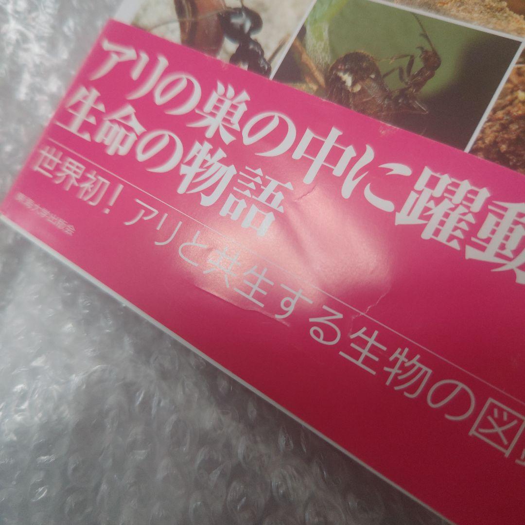 アリの巣の生きもの図鑑　東海大学出版会　丸山宗利