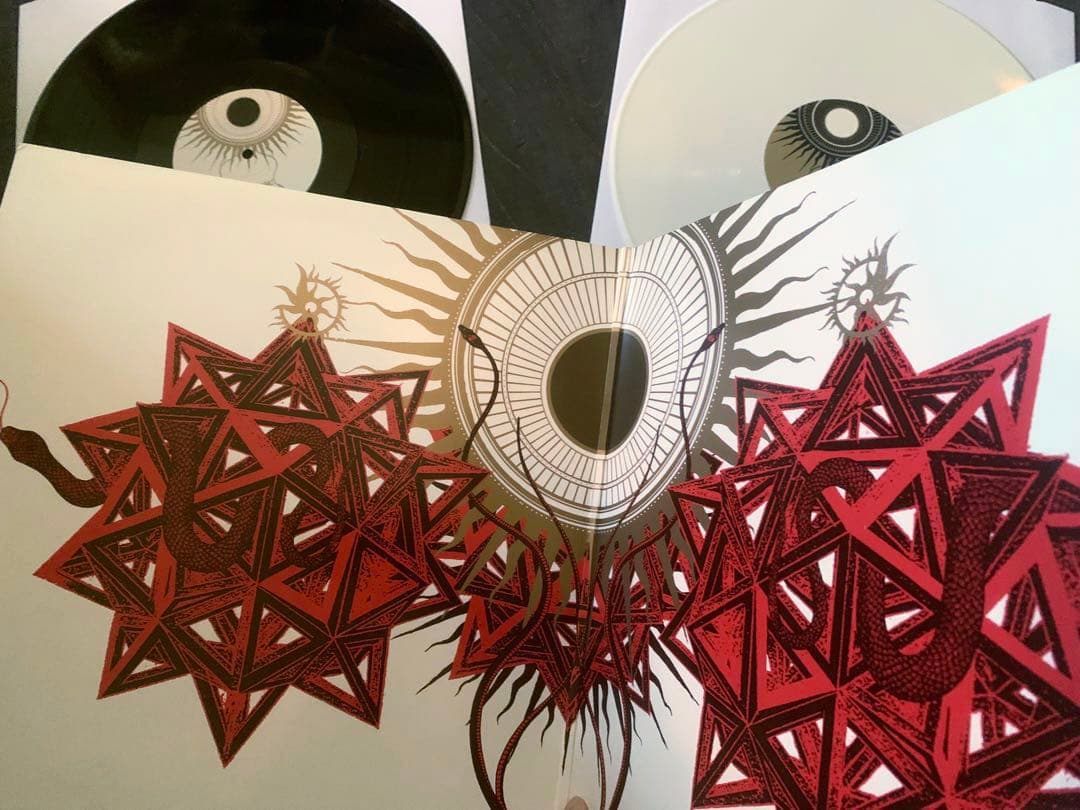 洋楽 SCHAMMASCH - Contradiction