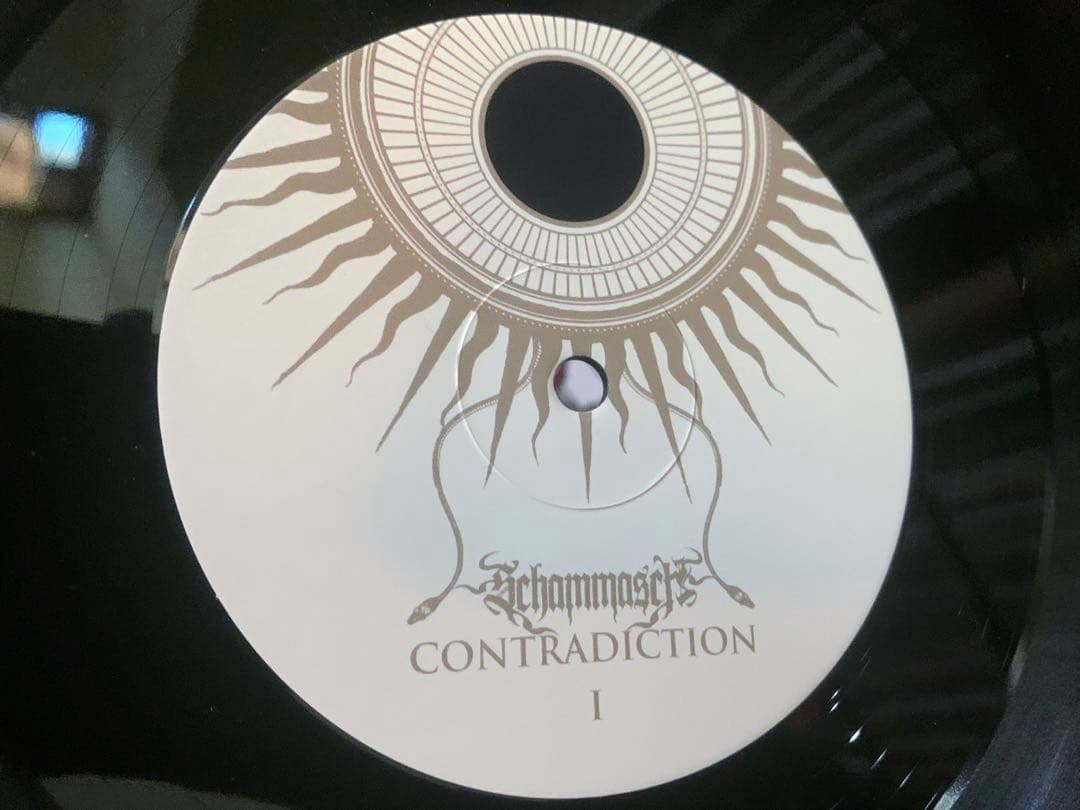 洋楽 SCHAMMASCH - Contradiction