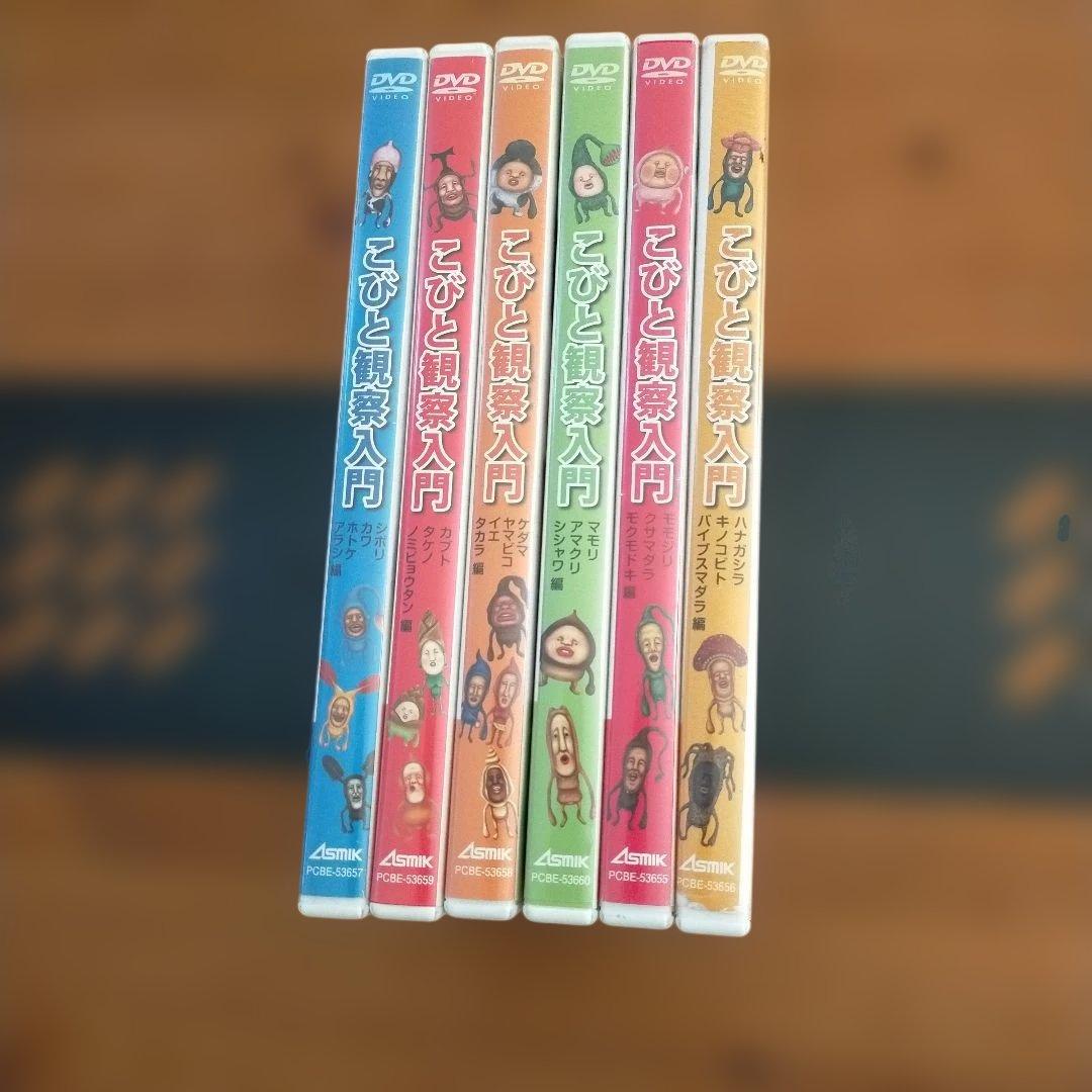 こびとづかん観察入門 DVD まとめ売り