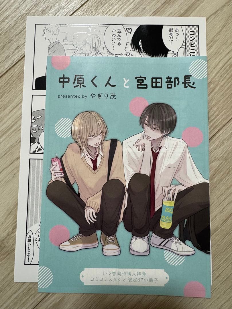 中原くんと宮田部長 1〜6巻 小冊子 リーフレット ペーパー 特典付き