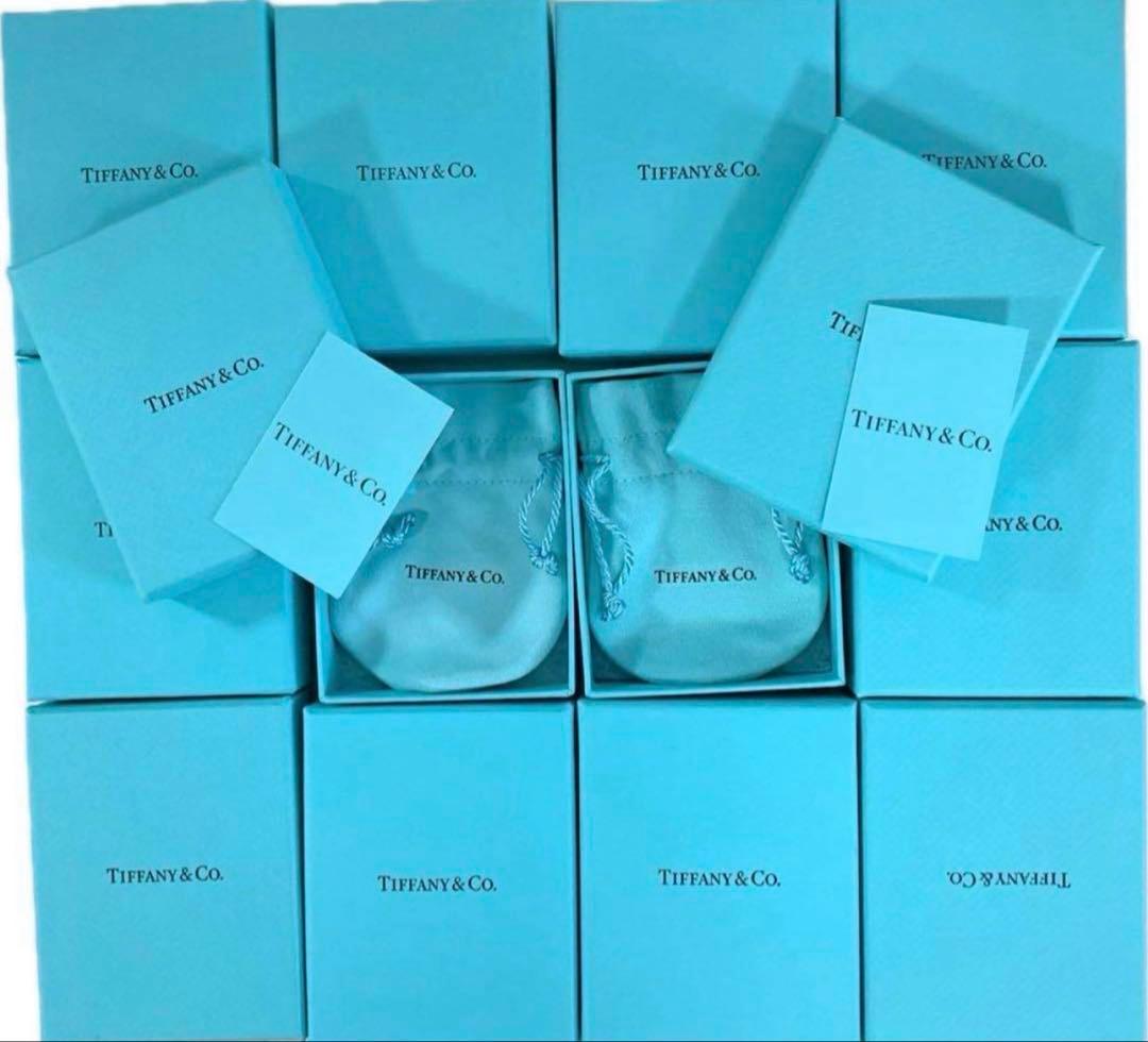 現行品　ティファニー　Tiffany 空箱box 巾着袋　取扱説明書 12セット
