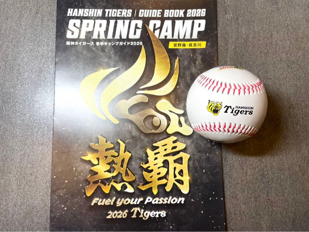 阪神タイガース 中野拓夢 直筆サインボール 2026沖縄キャンプ限定球