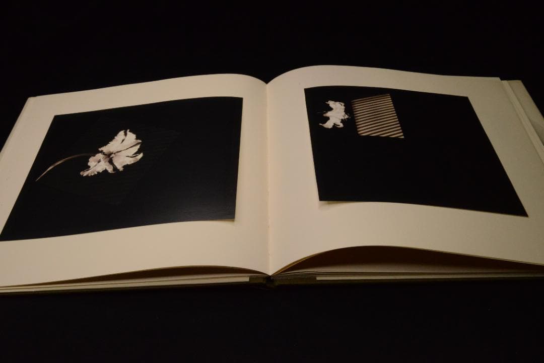 Robert Mapplethorpe: Patti Smith 値下げしました