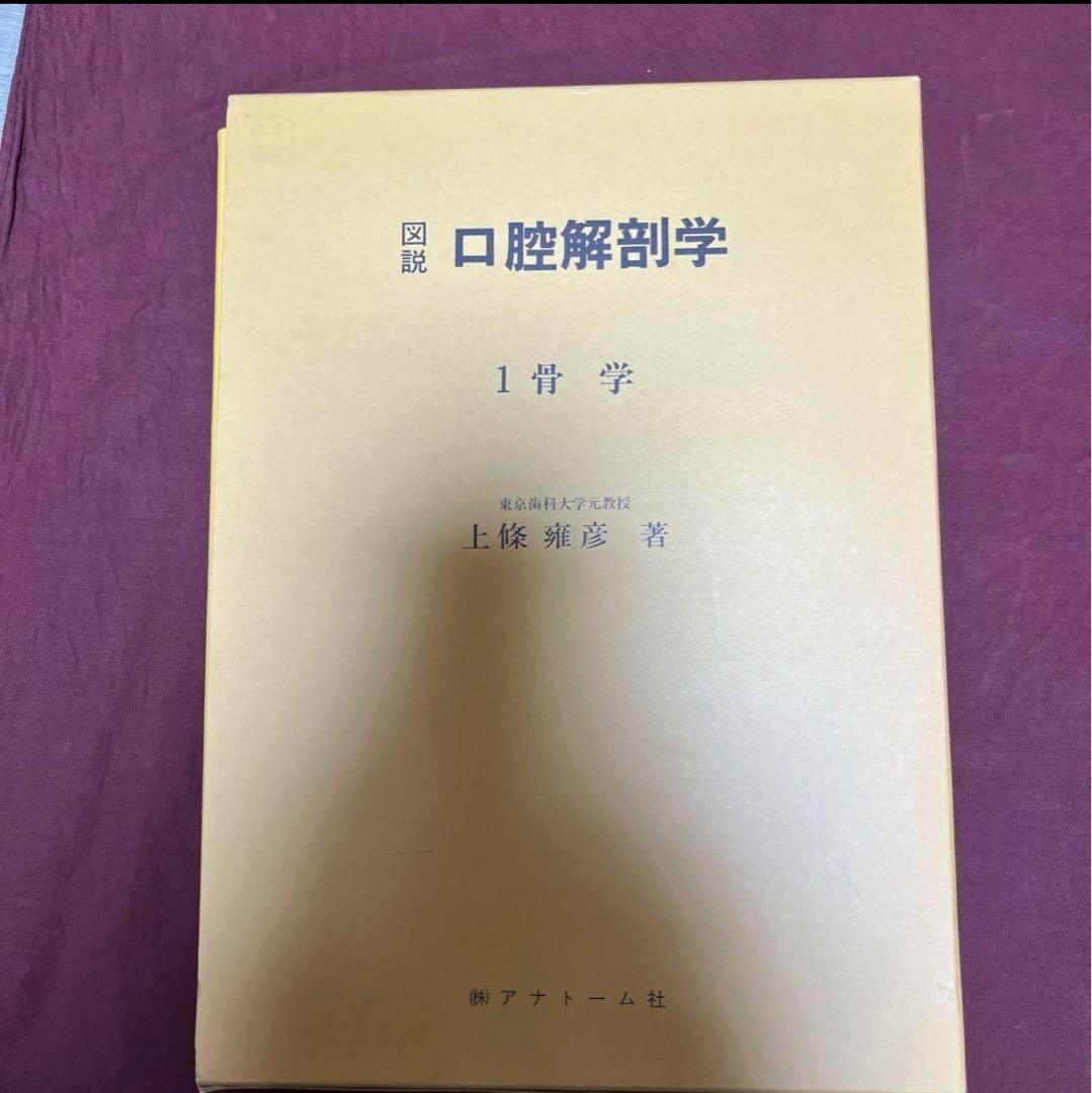 口腔解剖学 骨学 アトナーム社 元東京歯科大学教授
